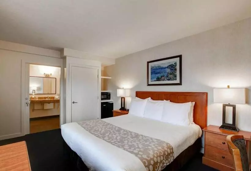 身障者適用キングサイズベッドルーム, Newport Channel Inn