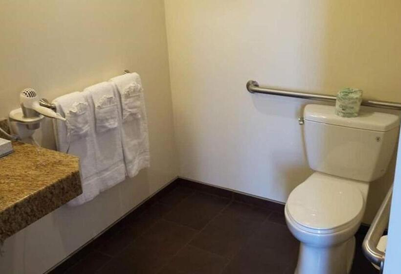 غرفة قياسية سرير كينج لذوى الإحتياجات الخاصة, Newport Channel Inn