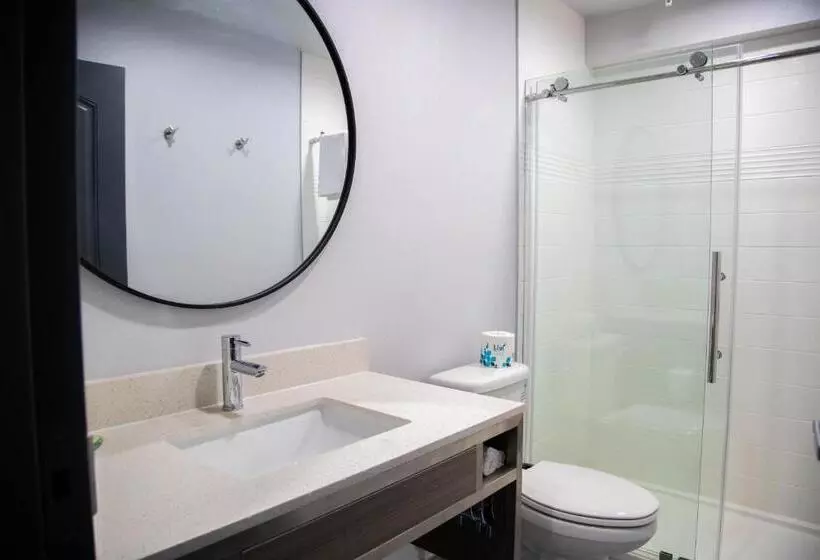 اتاق سوپریور با تخت بزرگ, Pico Rivera Inn And Suites