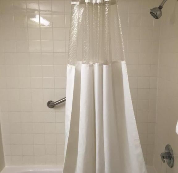 اتاق لوکس با تخت بزرگ, Ramada By Wyndham Grand Forks