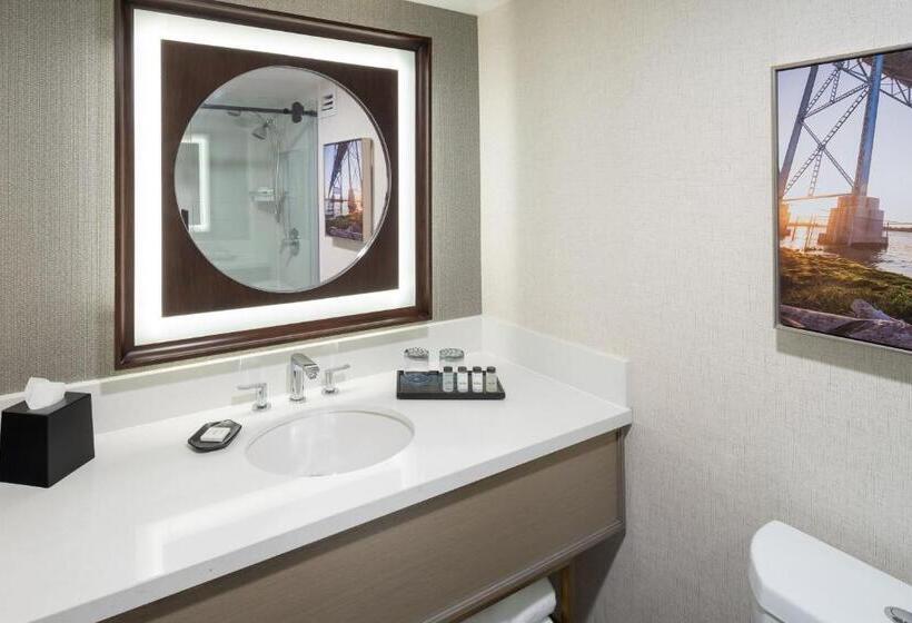 إستوديو قياسى سرير كينج, Sheraton Detroit Novi