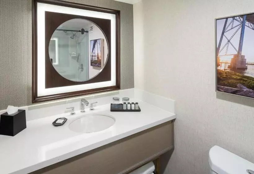 キングサイドベッドのスタンダードワンルーム, Sheraton Detroit Novi