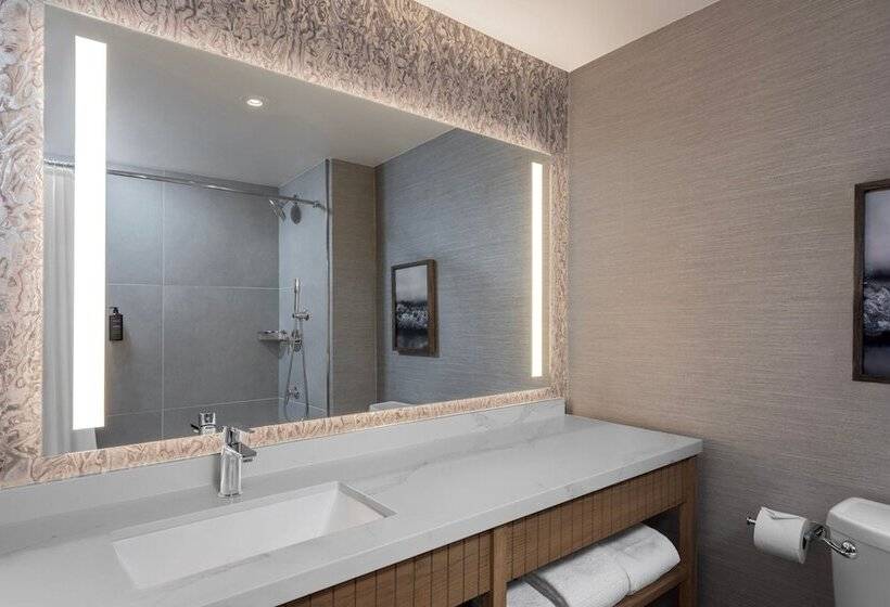 带观景的豪华间, Sheraton San Diego Resort