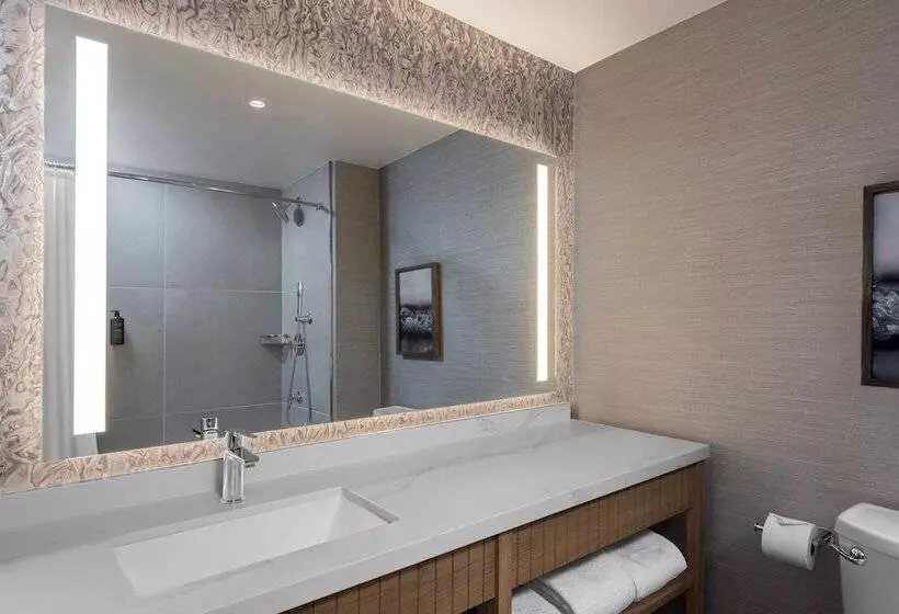 اتاق لوکس با چشم‌انداز, Sheraton San Diego Resort