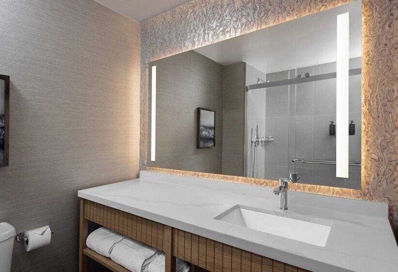 带观景的豪华间, Sheraton San Diego Resort