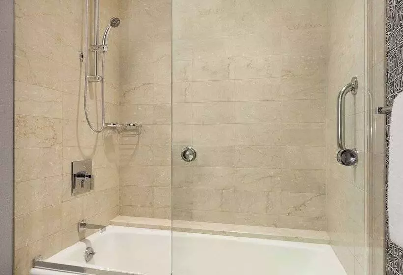 اتاق دلوکس مخصوص معلولین, The Royal Sonesta Minneapolis Downtown