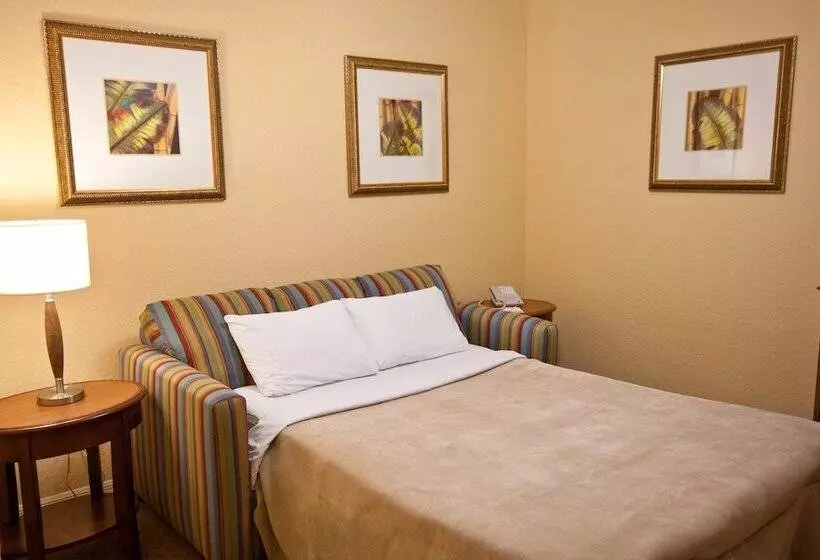 １ベッドルームアパートメント, Club Wyndham Palm Aire