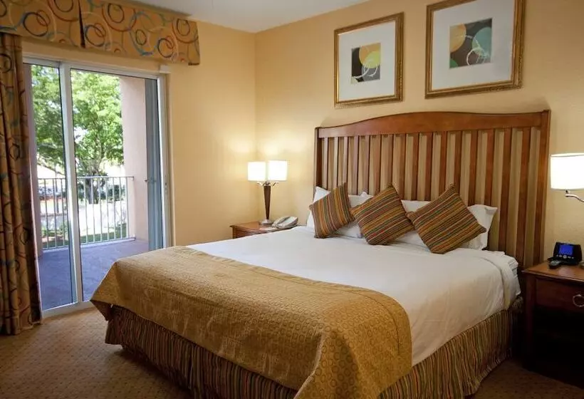 １ベッドルームアパートメント, Club Wyndham Palm Aire