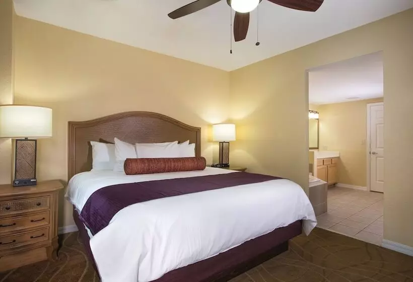 １ベッドルームアパートメント, Club Wyndham Palm Aire