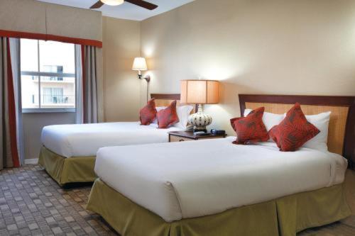 标准间, Club Wyndham Palm Aire