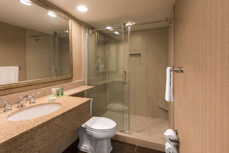 غرفة قياسية سرير كينج, Hilton Sandestin Beach Golf Resort & Spa