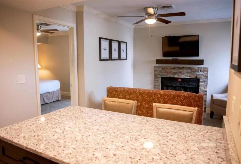 豪华工作室, Annabell Gardens