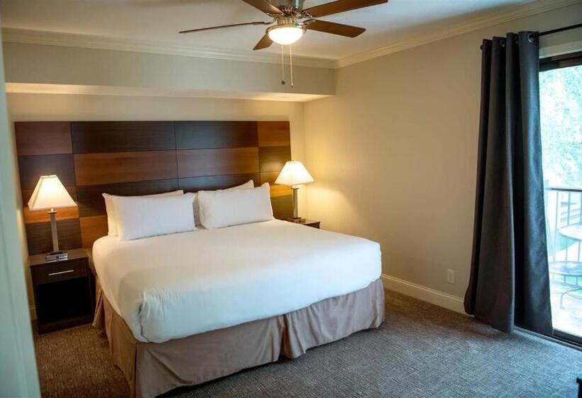 豪华工作室, Annabell Gardens