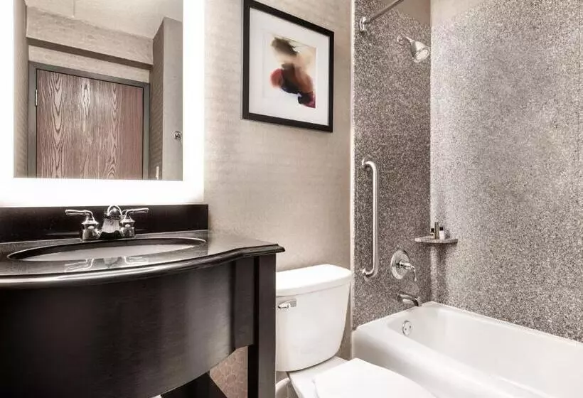 اتاق استاندارد با تخت بزرگ, Crowne Plaza Milwaukee South, An Ihg