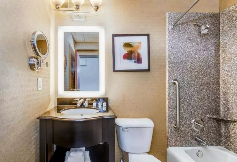 اتاق استاندارد با تخت بزرگ برای معلولان, Crowne Plaza Milwaukee South, An Ihg