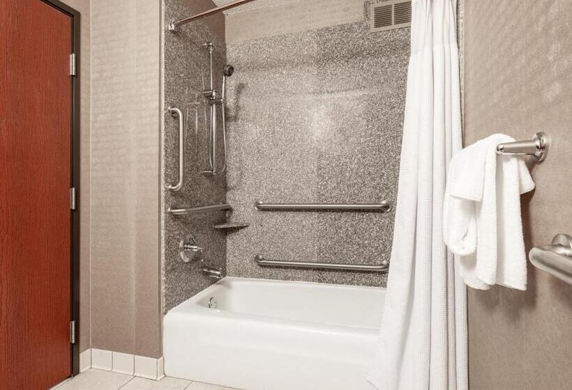 חדר סטנדרט, מיטת קינג, מותאם לאדם עם מוגבלויות, Crowne Plaza Milwaukee South, An Ihg