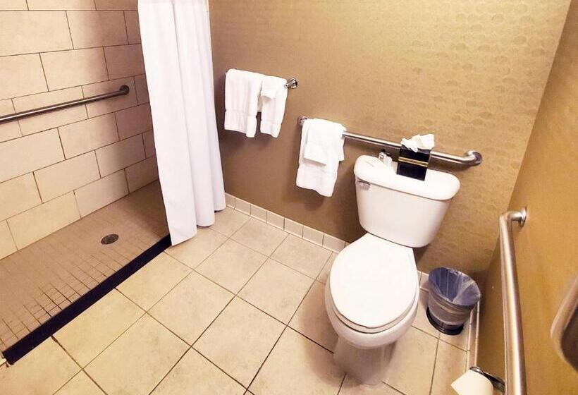 חדר סטנדרט, מיטת קינג, מותאם לאדם עם מוגבלויות, Crowne Plaza Milwaukee South, An Ihg