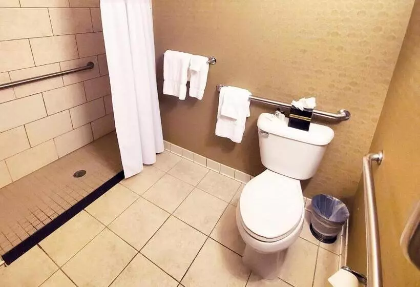 اتاق استاندارد با تخت بزرگ برای معلولان, Crowne Plaza Milwaukee South, An Ihg