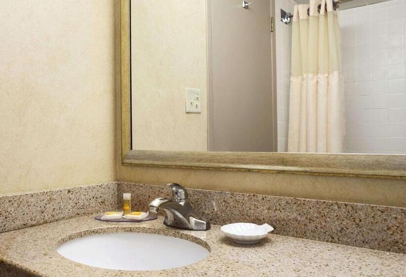 غرفة قياسية سرير كينج, Days Inn By Wyndham Rock Falls