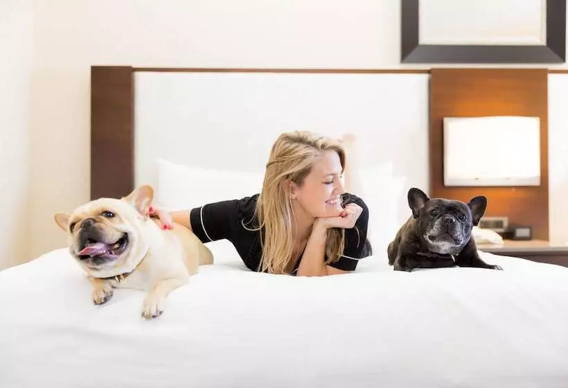 ２ダブルベッドのスタンダードルーム, Hilton San Francisco Union Square