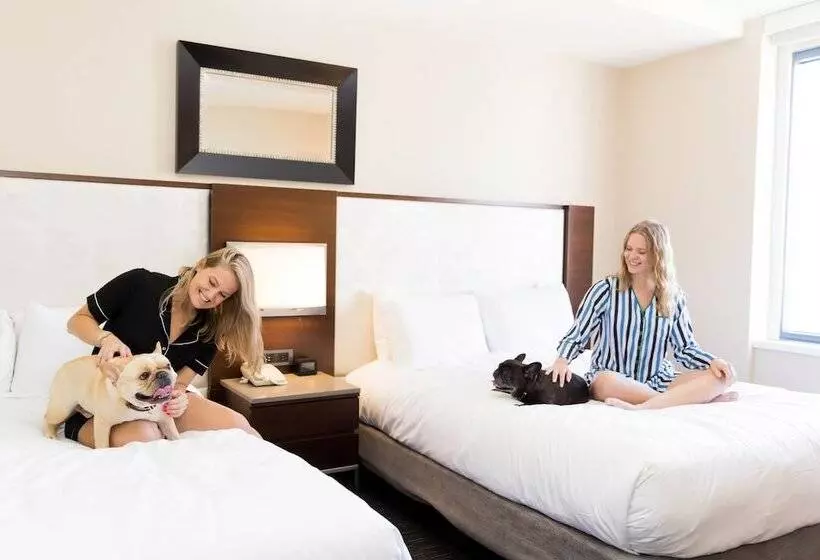 ２ダブルベッドのスタンダードルーム, Hilton San Francisco Union Square