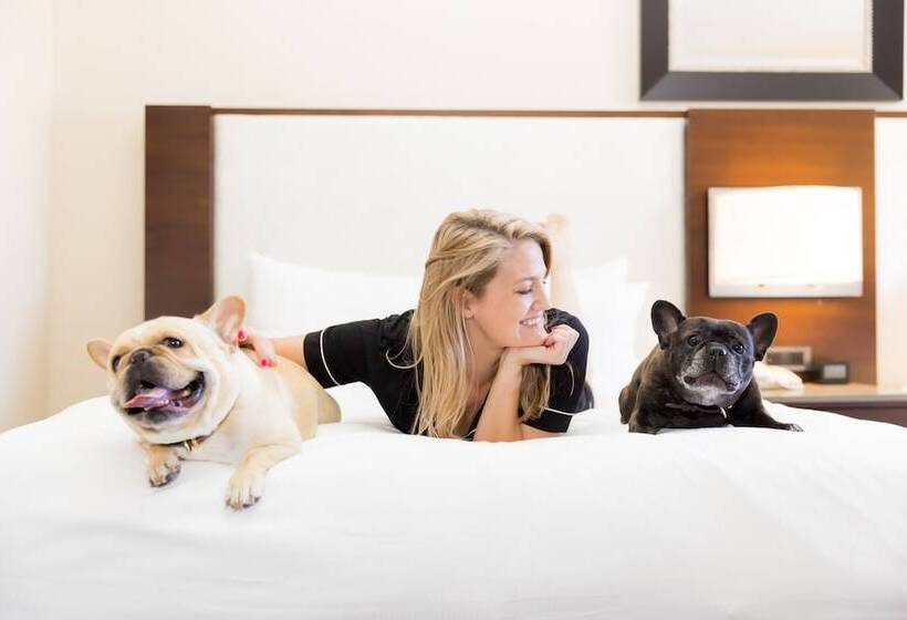 غرفة ديلوكس, Hilton San Francisco Union Square