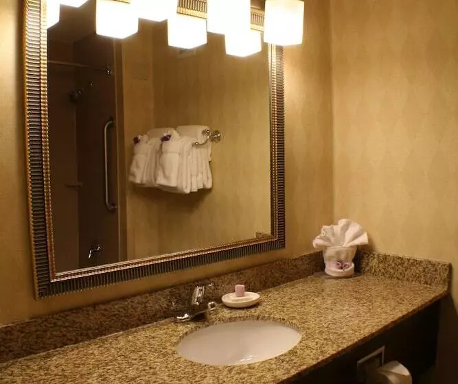اتاق استاندارد با 2 تخت دوبل, Holiday Inn Akron West, An Ihg