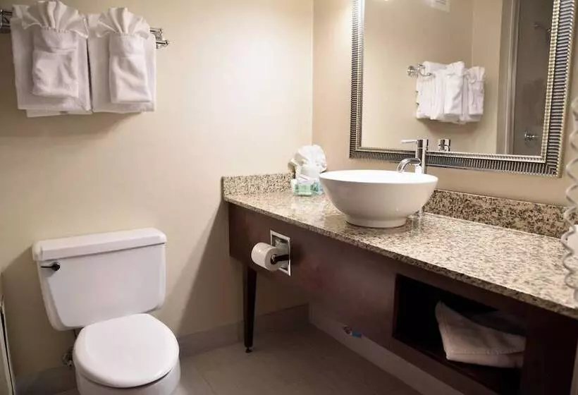 اتاق استاندارد با 2 تخت دوبل, Holiday Inn Akron West, An Ihg