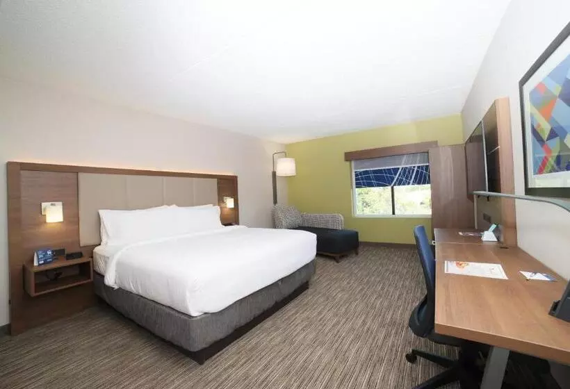 キングサイズベッドのスタンダードルーム, Holiday Inn Express Naperville, An Ihg