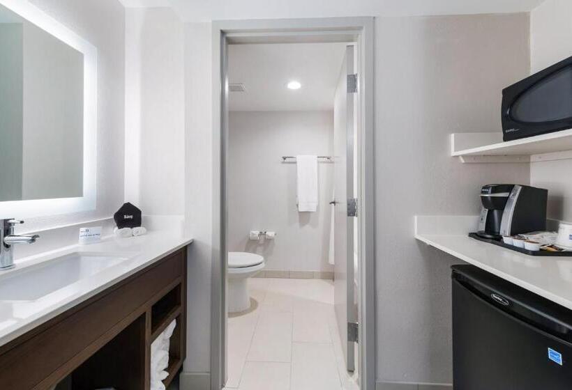 סטודיו סטנדרט, מיטה זוגית, Holiday Inn Express Naperville, An Ihg