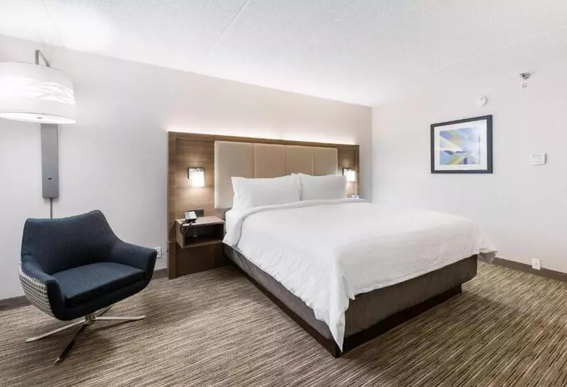 キングサイズベッドのスイートルーム, Holiday Inn Express Naperville, An Ihg