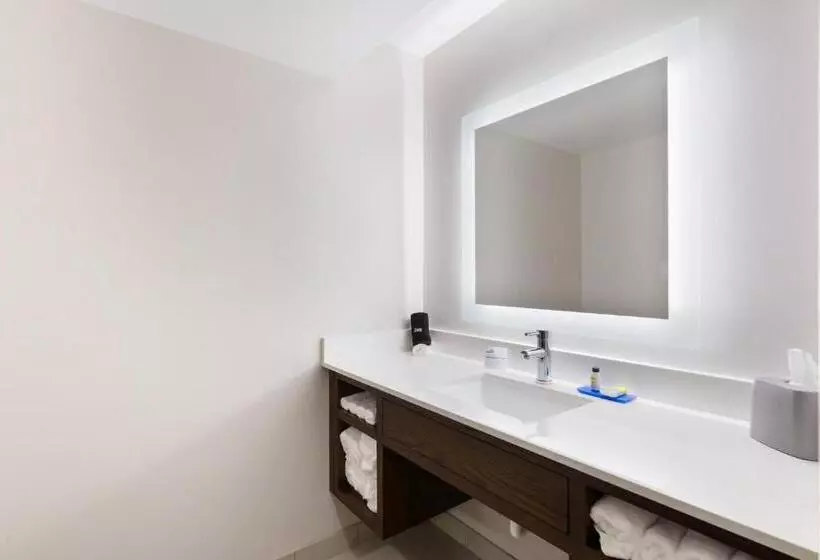 キングサイズベッドのスイートルーム, Holiday Inn Express Naperville, An Ihg