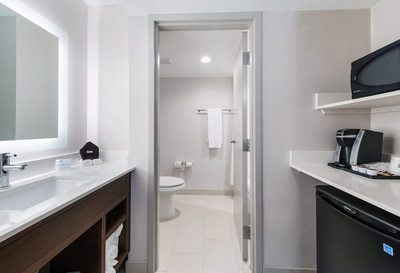 חדר סטנדרט, Holiday Inn Express Naperville, An Ihg