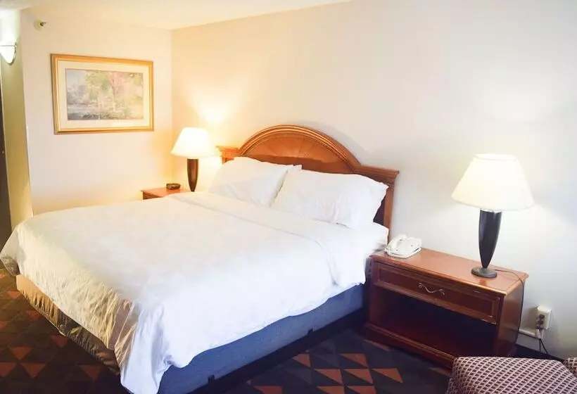 اتاق استاندارد, Holiday Inn Great Falls Convention Center, An Ihg