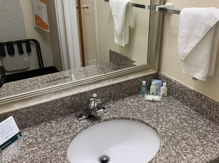 ２ダブルベッドのスタンダードルーム, Quality Inn & Suites Pensacola Bayview