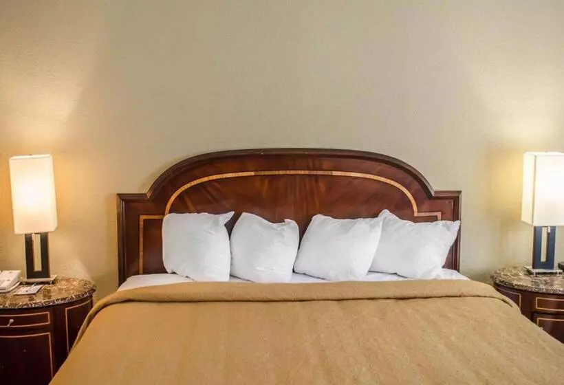 キングサイズベッドのスタンダードルーム, Quality Inn & Suites Pensacola Bayview