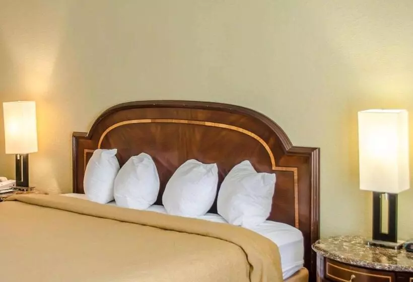 キングサイズベッドのスタンダードルーム, Quality Inn & Suites Pensacola Bayview