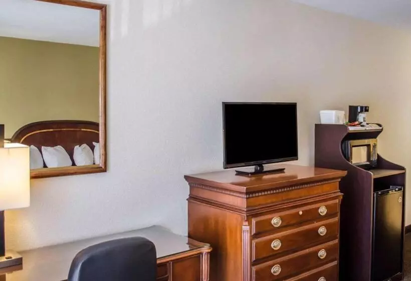 キングサイズベッドのスタンダードルーム, Quality Inn & Suites Pensacola Bayview