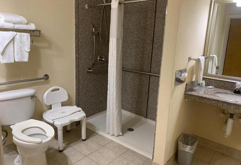 חדר סטנדרט עם מיטת קינג, Quality Inn & Suites Pensacola Bayview