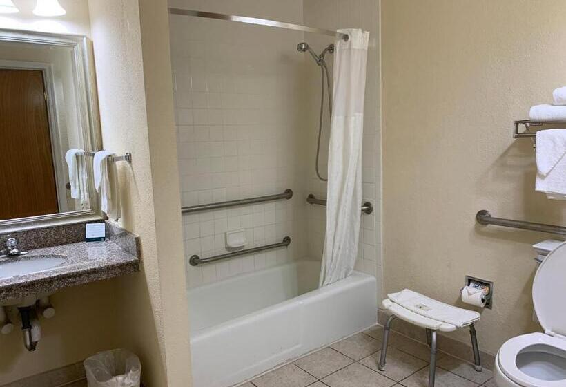 Стандартный Номер Кровать Кинг, Quality Inn & Suites Pensacola Bayview