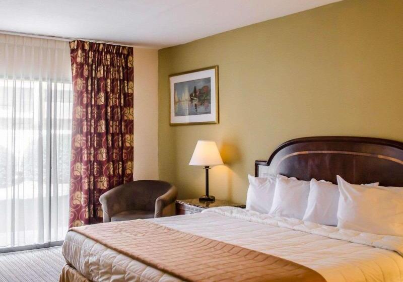 חדר סטנדרט עם מיטת קינג, Quality Inn & Suites Pensacola Bayview