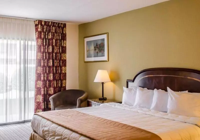 キングサイズベッドのスタンダードルーム, Quality Inn & Suites Pensacola Bayview