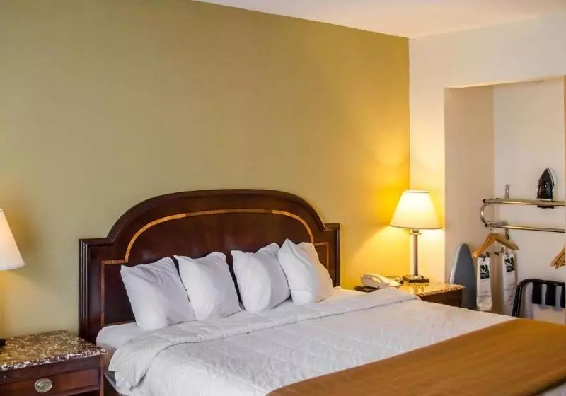 キングサイズベッドのスタンダードルーム, Quality Inn & Suites Pensacola Bayview