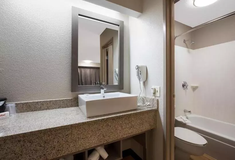 ２ダブルベッドのスタンダードルーム, Red Roof Inn Plus+ Chicago   Naperville