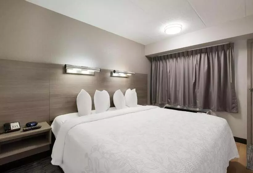 キングサイズベッドのスタンダードルーム, Red Roof Inn Plus+ Chicago   Naperville