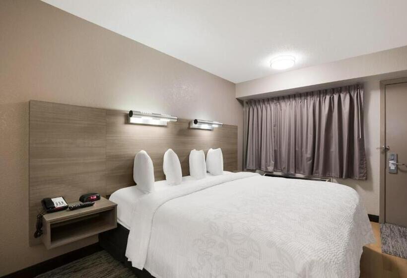 غرفة سوبيريور سرير كينج, Red Roof Inn Plus+ Chicago   Naperville