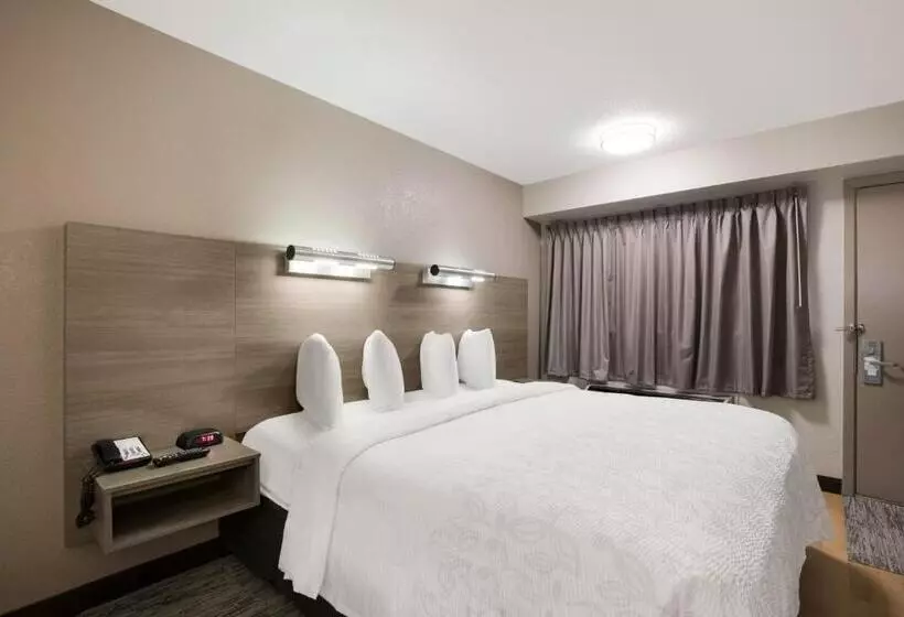 キングサイズベッドのスーペリアルーム, Red Roof Inn Plus+ Chicago   Naperville