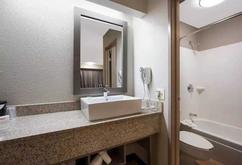 デラックスルーム, Red Roof Inn Plus+ Chicago   Naperville