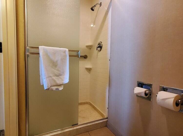 Quarto standart cama de casal, Royal Pacific Motor Inn