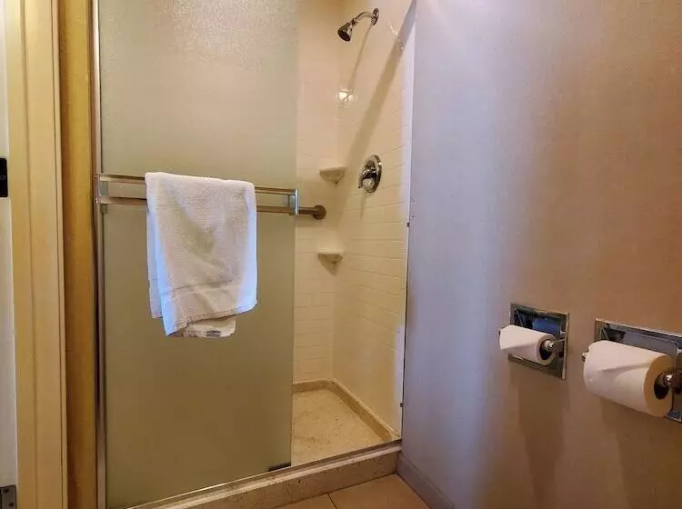 اتاق استاندارد با تخت دوبل, Royal Pacific Motor Inn